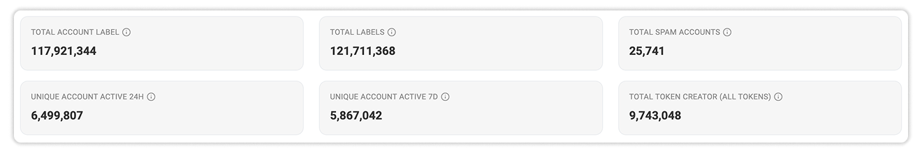 Solana Account Summary Metrics